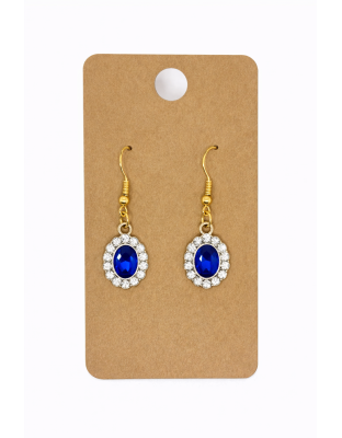 Blue &amp; White Stone Dangling Earrings Supporting Awareness for Chronic Rare and Invisible Illnesses